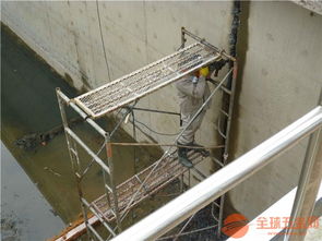 萊蕪市污水池堵漏防漏