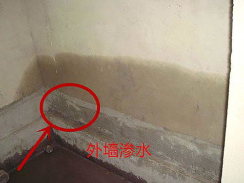 外墻滲水內(nèi)墻堵漏 兩種實(shí)用方法詳解